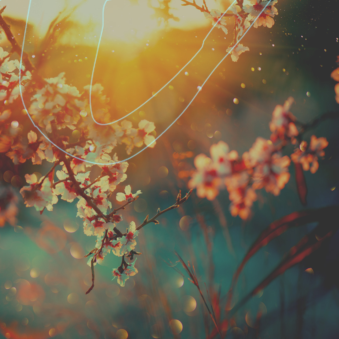 Giving at Hope Church Aldershot